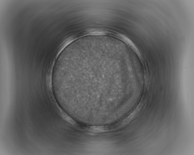 X0000112351194200909101037