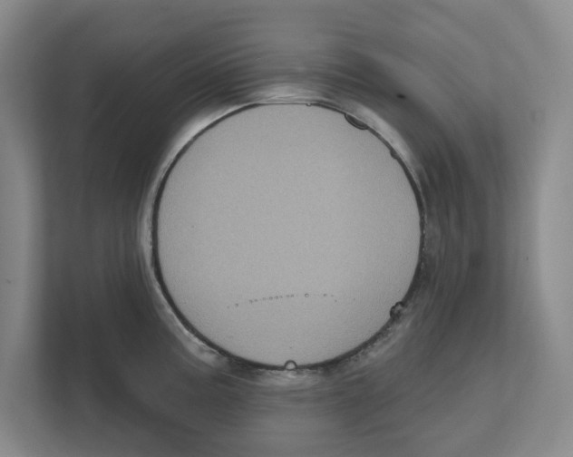 X0000112351195200909101037