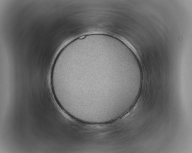 X0000112351197200909101037