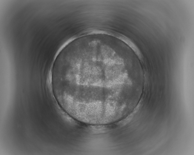 X0000112351198200909101037