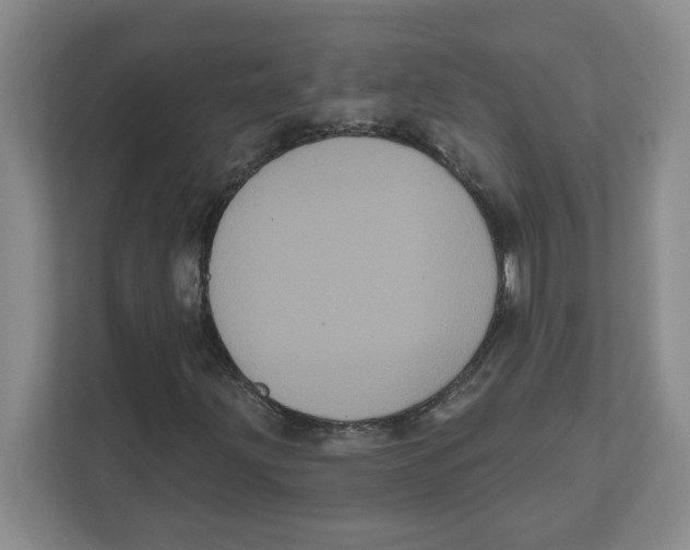 X0000112351203200909101036