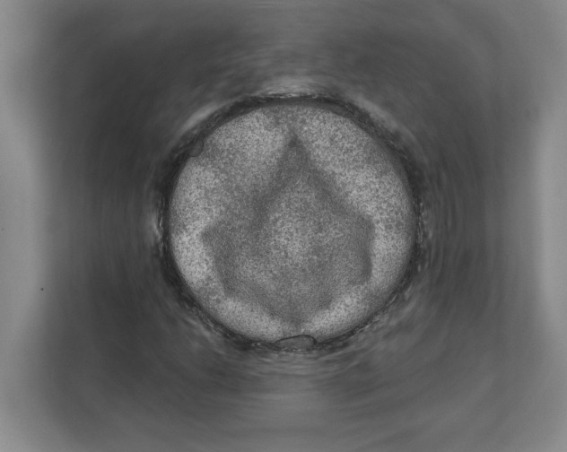 X0000112351206200909101036