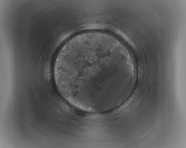 X0000112351213200909101036