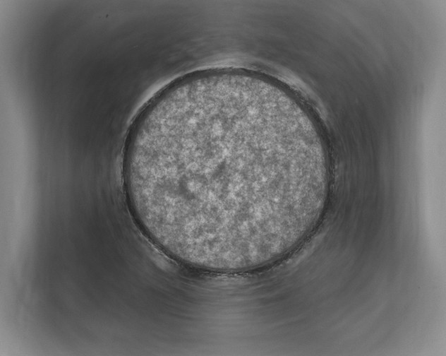 X0000112351216200909101036