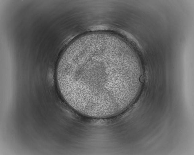 X0000112351217200909101036