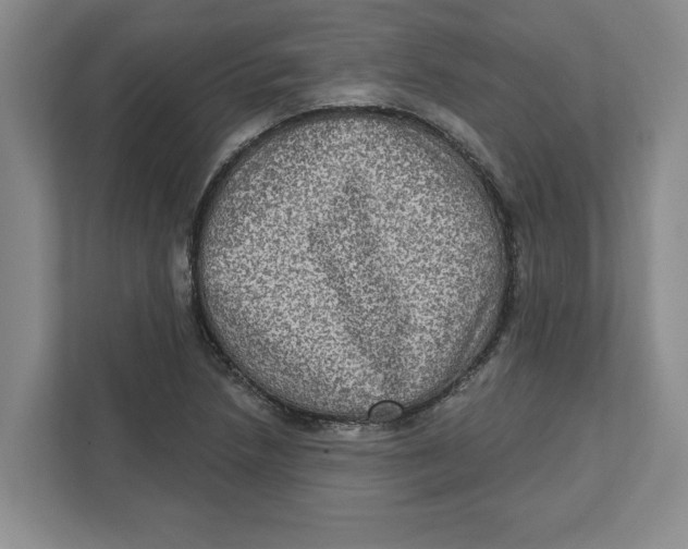 X0000112351218200909101036