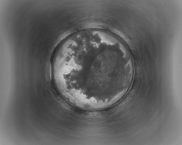 X0000112351219200909101036