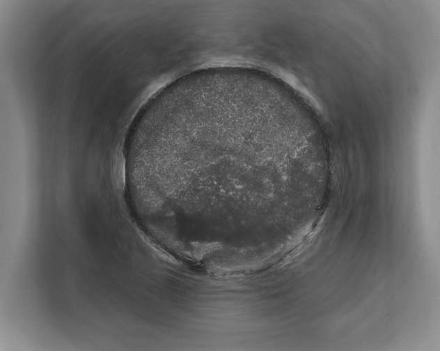 X0000112351221200909101036