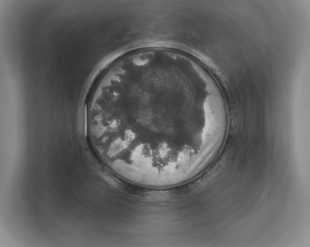 X0000112351223200909101036