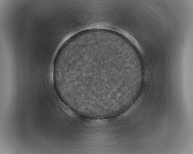 X0000112351224200909101036