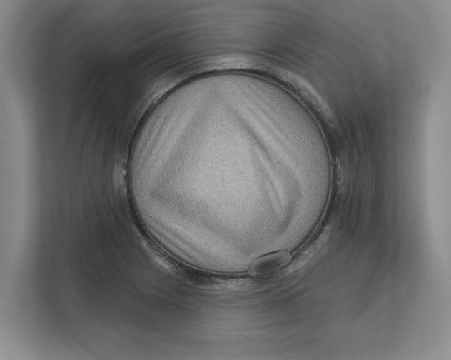 X0000112351225200909101036