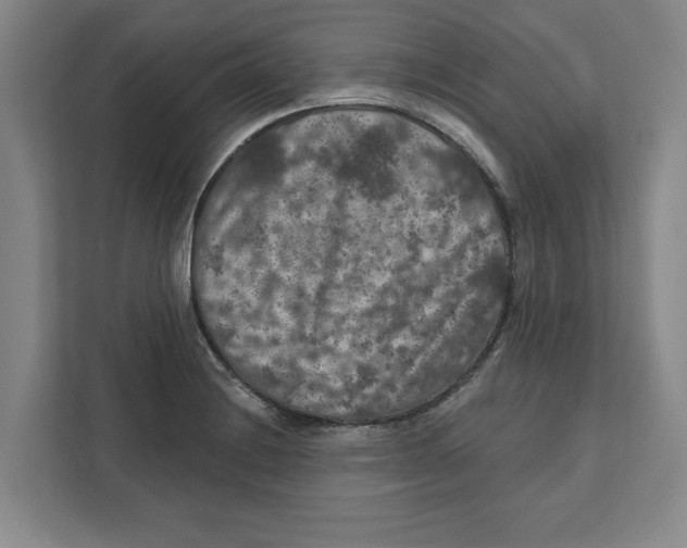 X0000112351228200909101036