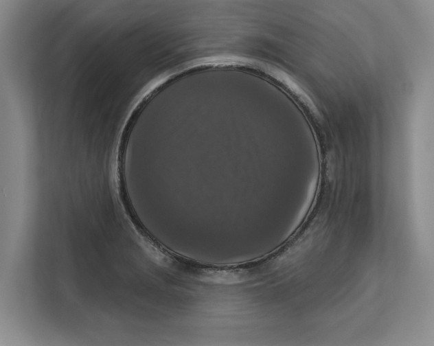 X0000112351229200909101036