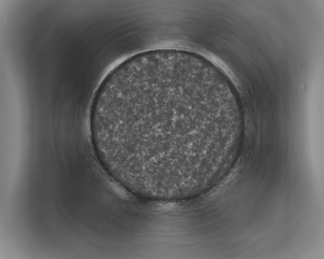 X0000112351230200909101036