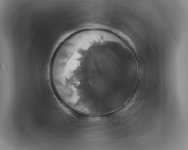 X0000112351231200909101037