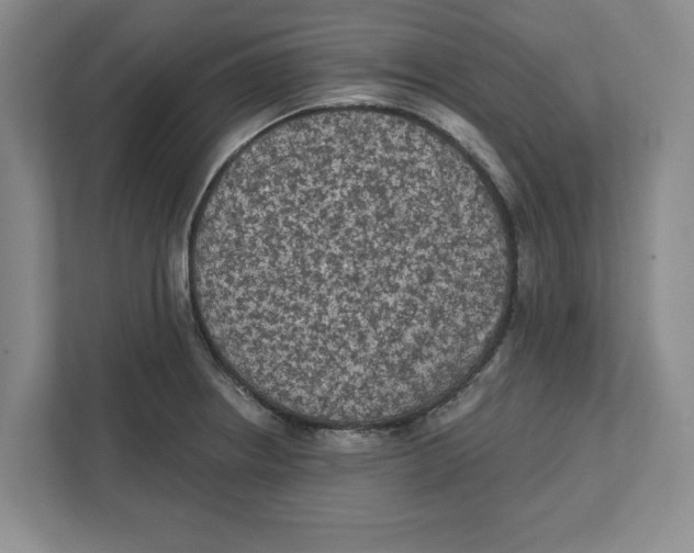 X0000112351234200909101037