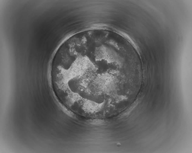 X0000112351235200909101037