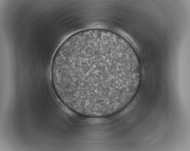 X0000112351236200909101037