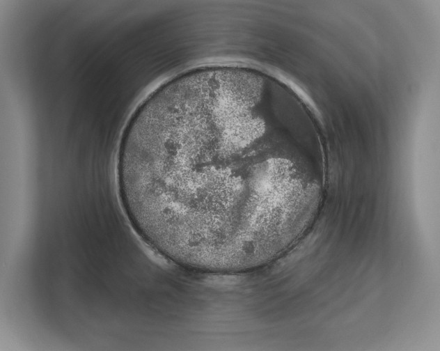 X0000112351237200909101037