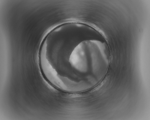 X0000112351239200909101037