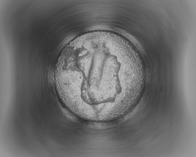 X0000112351241200909101037