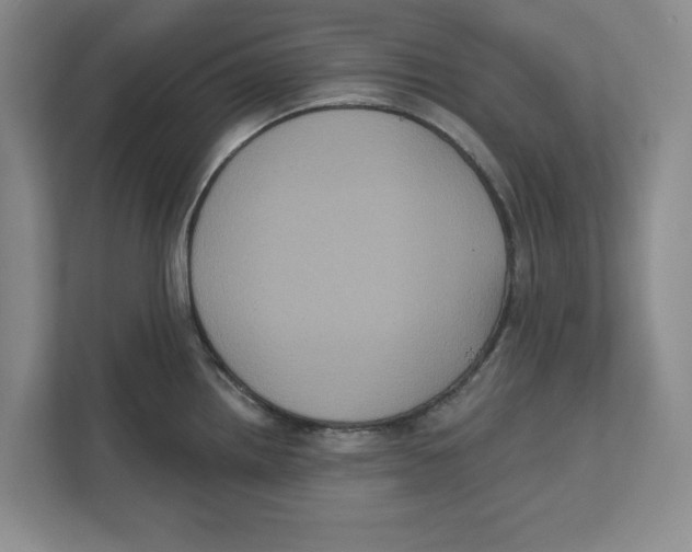 X0000112351242200909101037