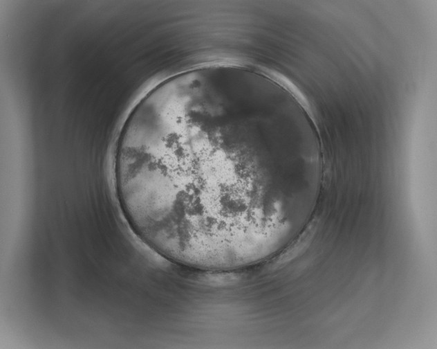 X0000112351243200909101037