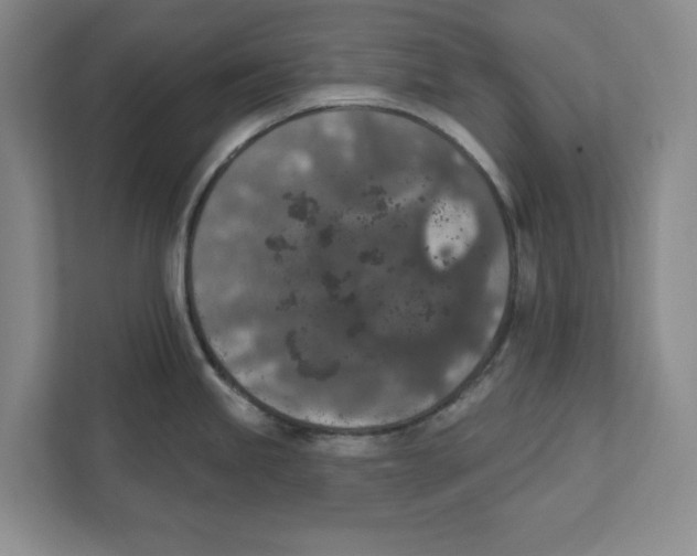 X0000112351245200909101037