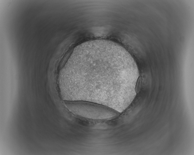 X0000112351249200909101036