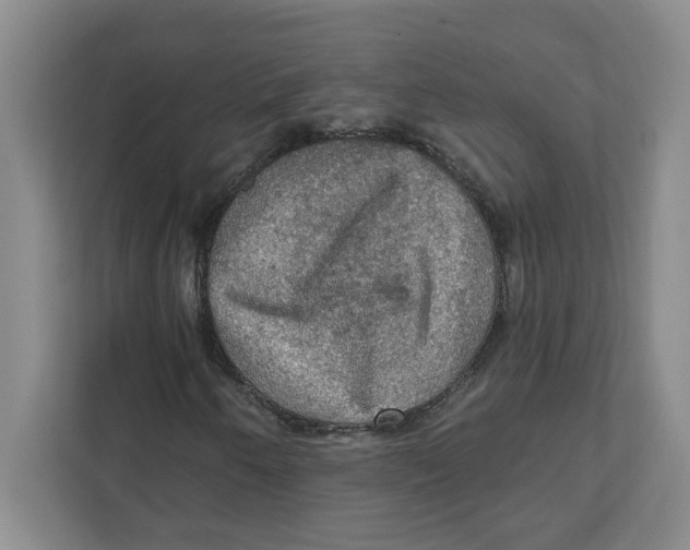 X0000112351250200909101036