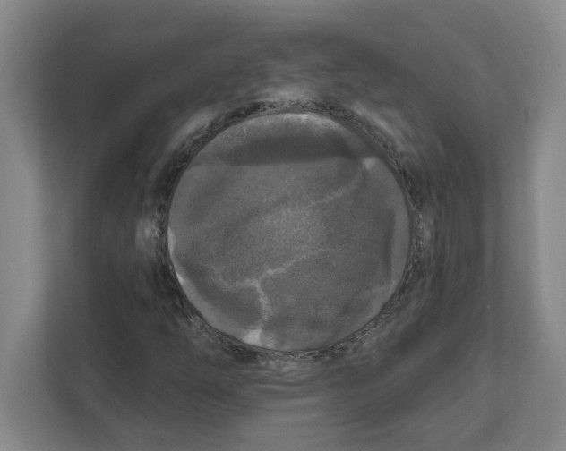 X0000112351254200909101036