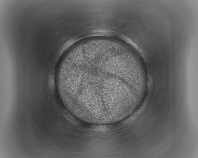 X0000112351259200909101036