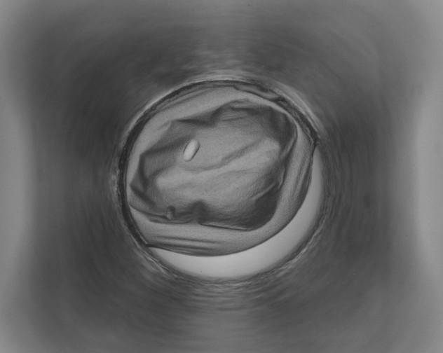 X0000112351260200909101036