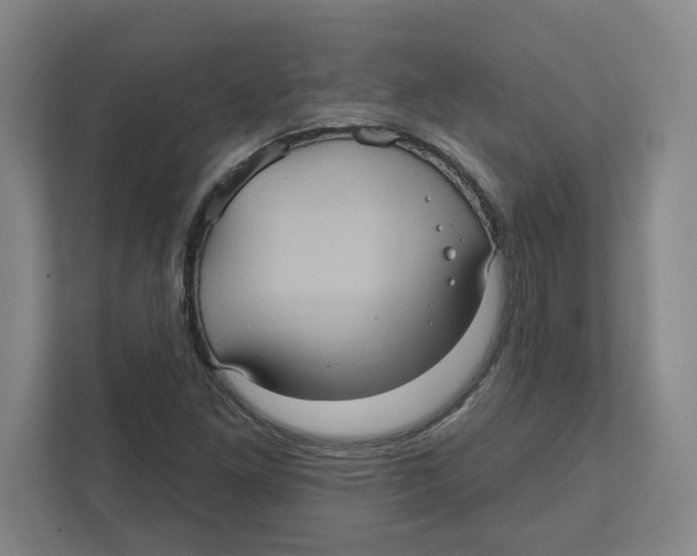 X0000112351261200909101036