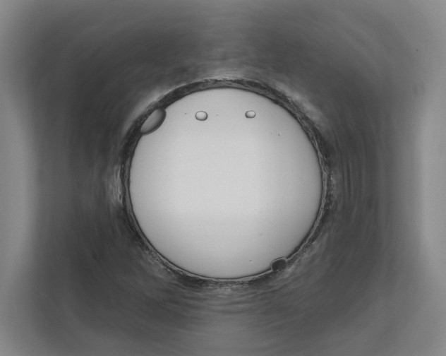 X0000112351262200909101036