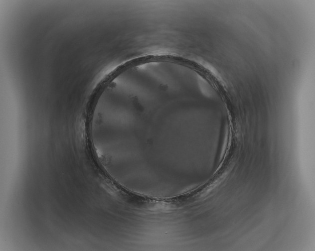 X0000112351263200909101036