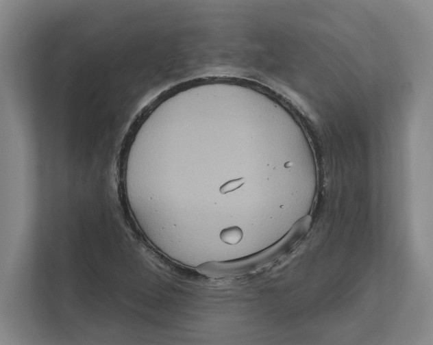 X0000112351264200909101036