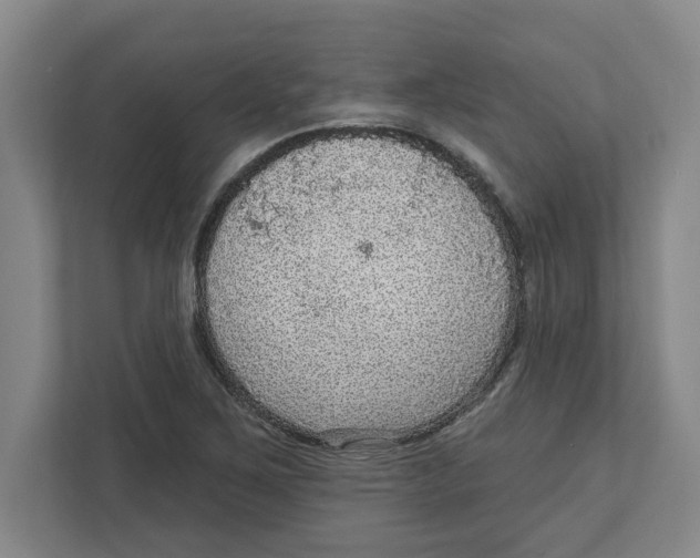 X0000112351267200909101036