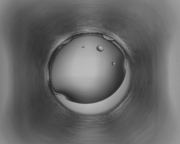 X0000112351269200909101036