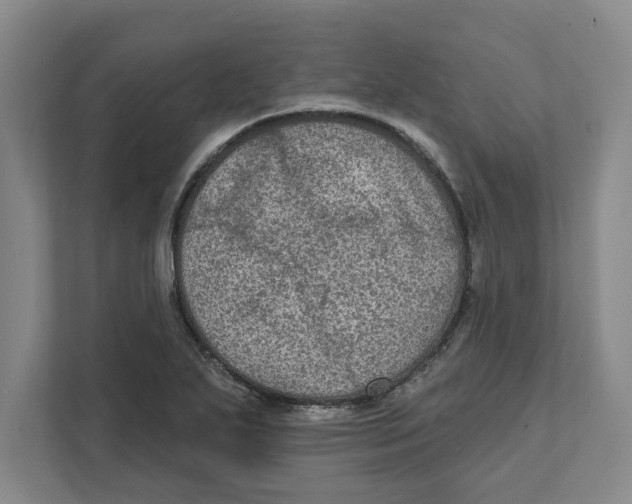 X0000112351271200909101036