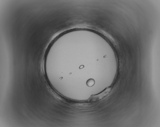 X0000112351272200909101036