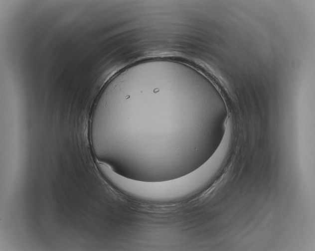 X0000112351273200909101036