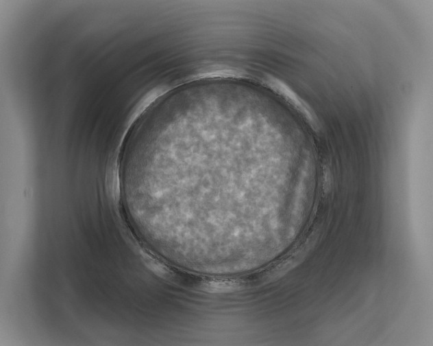 X0000112351274200909101036