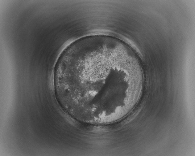 X0000112351275200909101036