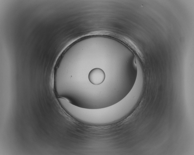 X0000112351276200909101036