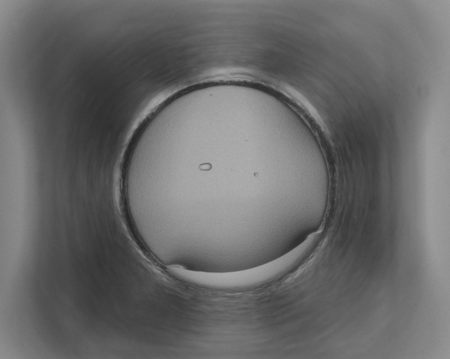 X0000112351277200909101036