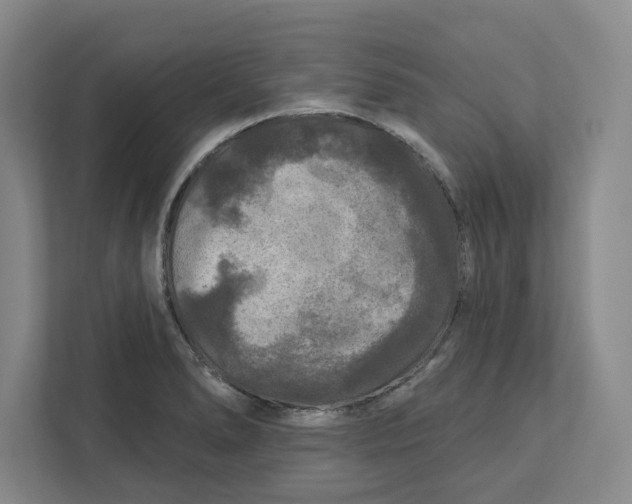 X0000112351278200909101036