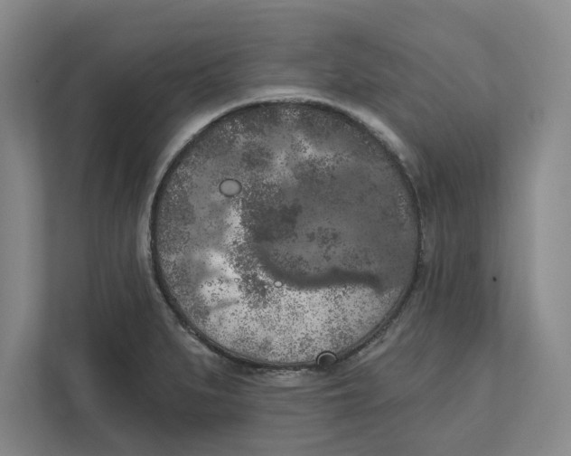 X0000112351279200909101036