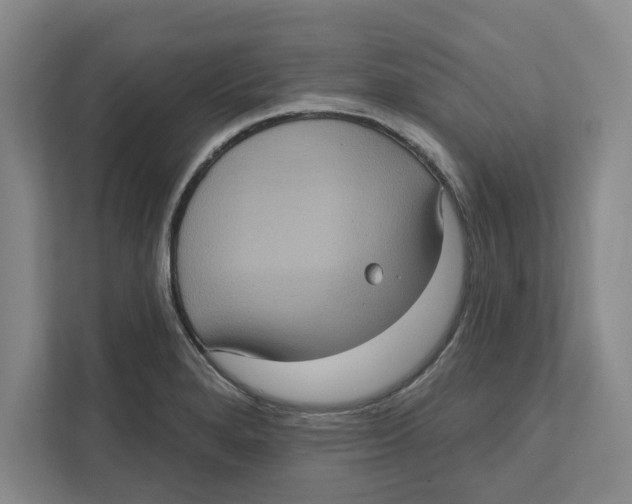 X0000112351280200909101036