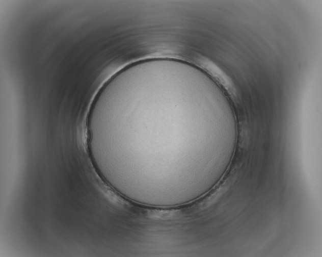 X0000112351284200909101036